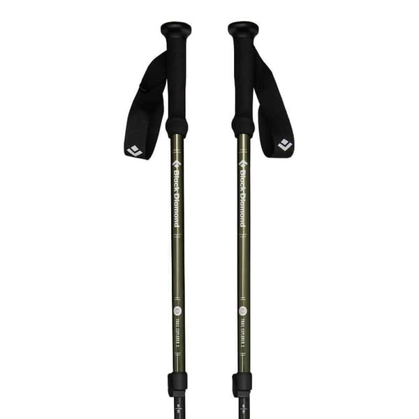 Black Diamond Pylväät Explorer 3 Hopeinen 58.5-130 cm