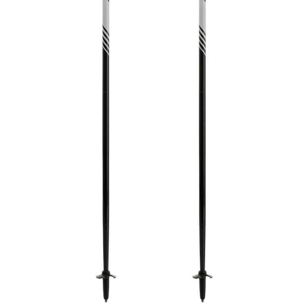 Dynafit Stænger Alpine Pro Søvfarvet 125 cm
