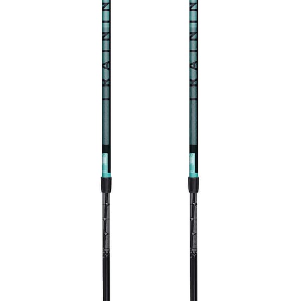 Masters Stolpar Nordic Walking Silver 77-135 cm