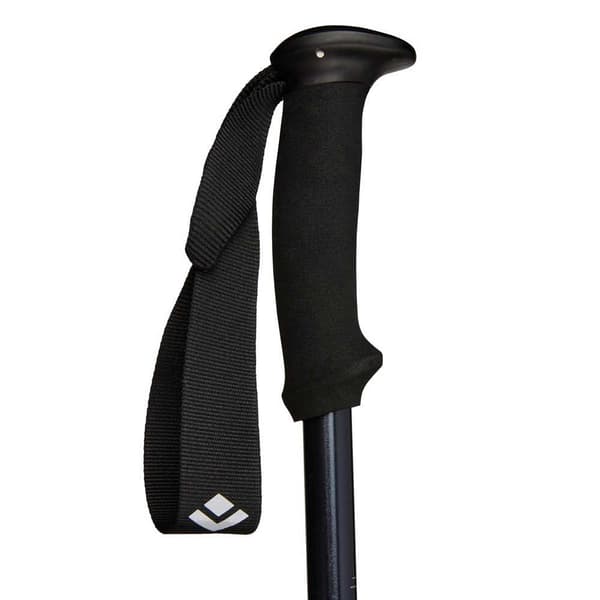 Black Diamond Stænger Explorer 2 Sort 90-130 cm