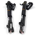 Miniatyrbild 7 av 10: Silva Polacker Carbon Adjust Silver 120-140 cm