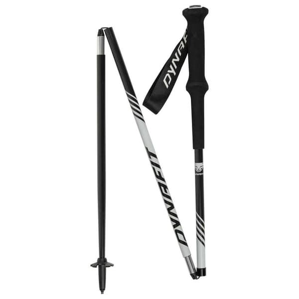 Dynafit Stænger Alpine Pro Søvfarvet 120 cm