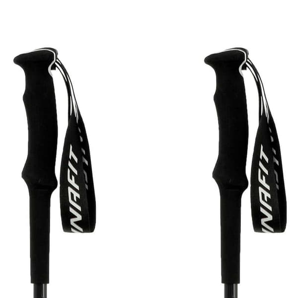 Dynafit Pylväät Alpine Pro Hopeinen 130 cm