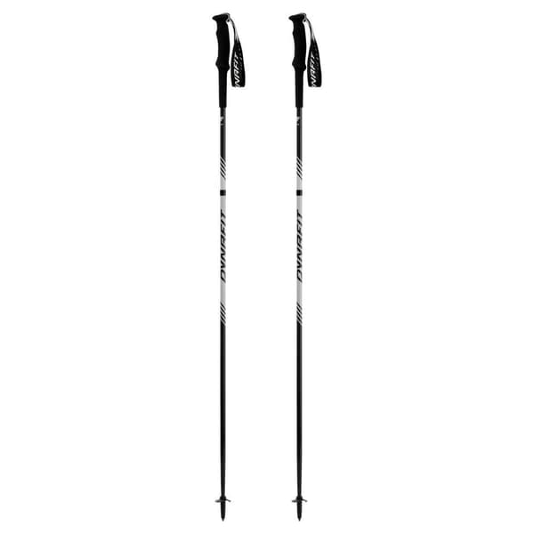 Dynafit Pylväät Alpine Pro Hopeinen 130 cm