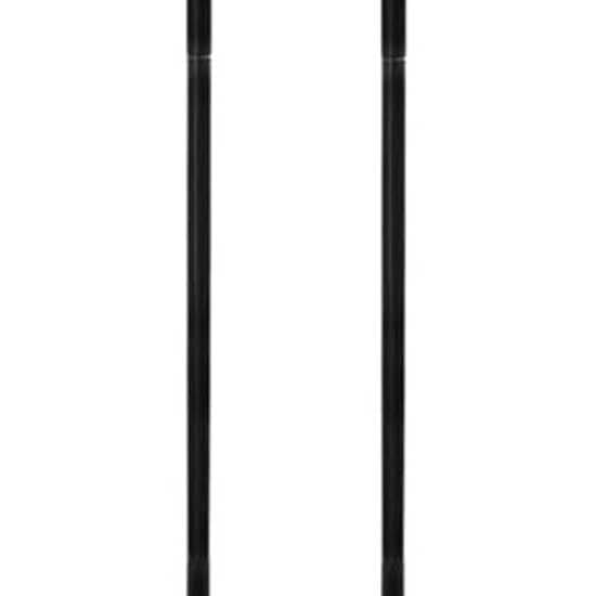 Salewa Pylväät Pedroc Carbonium Pro Hopeinen 115-135 cm
