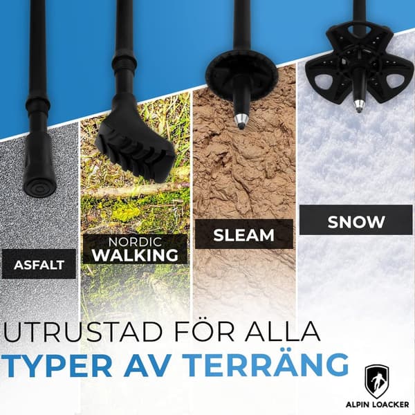 Vandringsstavar Carbon Hopfällbara ALPIN LOACKER