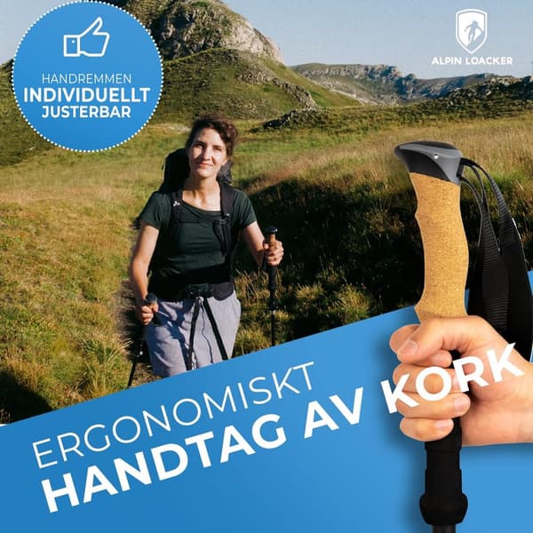Vandringsstavar Carbon Hopfällbara ALPIN LOACKER