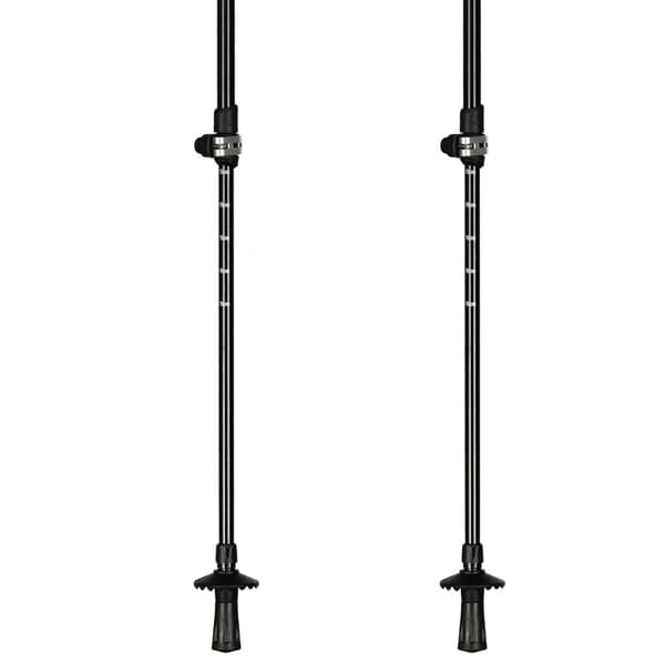 Asolo Aspe Ql Dlx Pylväät Hopeinen 64-135 cm