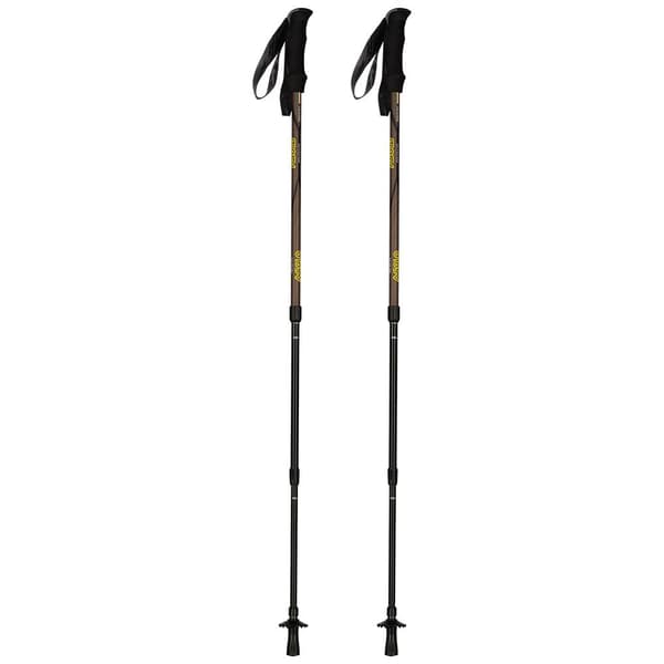 Asolo Glacier Pæle Transparent 64-135 cm