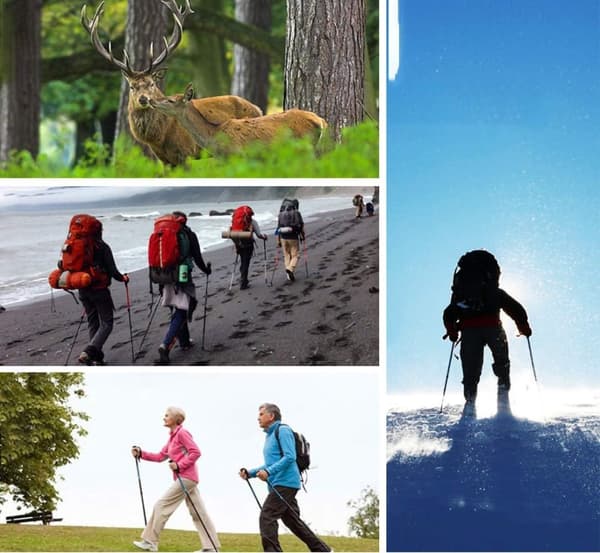 Vandrestave 110-130 cm - Letvægts teleskopiske vandrestave til vandreture og camping, Vandrestave - Justerbar højde-5 sektioner 1 stk.