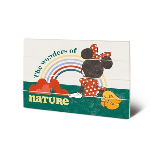Mickey Mouse The Wonders Of Nature Plaque White/Green/Red One Size
