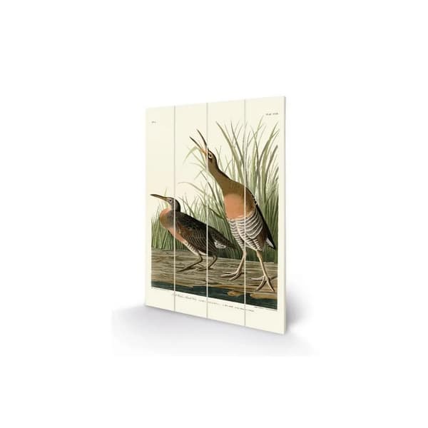 John James Audubon Salt Water Marsh Hen Wood Plaque Green/Brown/White 29.5cm x 20cm