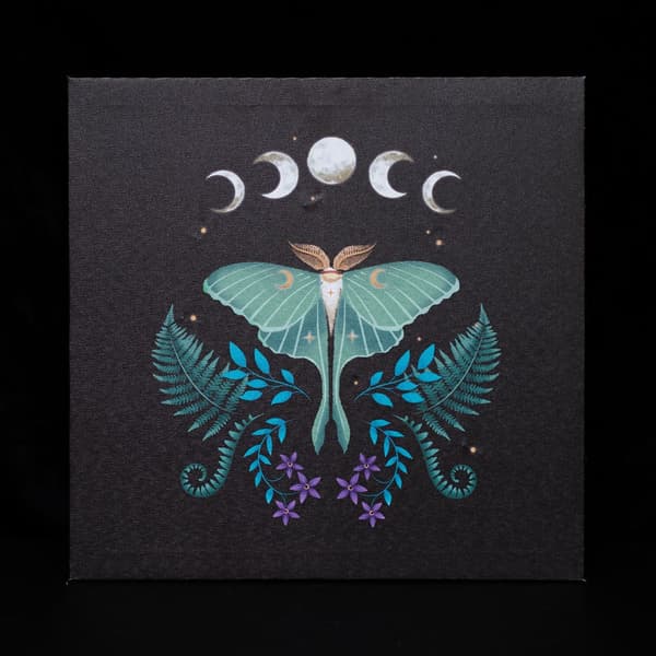 Something Different Canvas Luna Moth Light Up Canvas