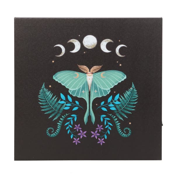 Something Different Canvas Luna Moth Light Up Canvas