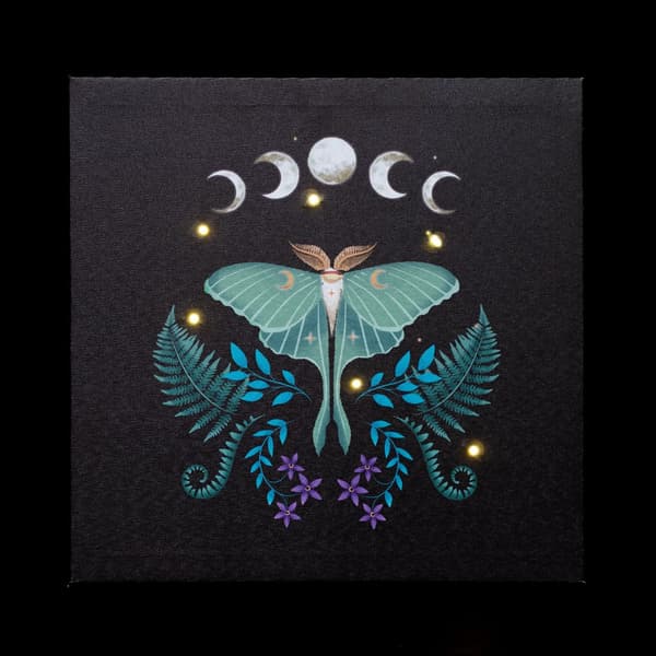 Something Different Canvas Luna Moth Light Up Canvas Black/Blue/White One Size