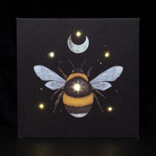 Something Different Forest Bee Light Up Canvas Black/Yellow One Size