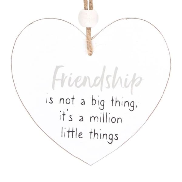 Something Different Friendship Is... Heart Hanging Sentiment Sign