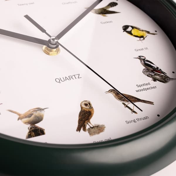 Nexxt Vogelklok – Fågelsångsklocka med 12 fågelläten – Ø25 cm – Mörkgrön