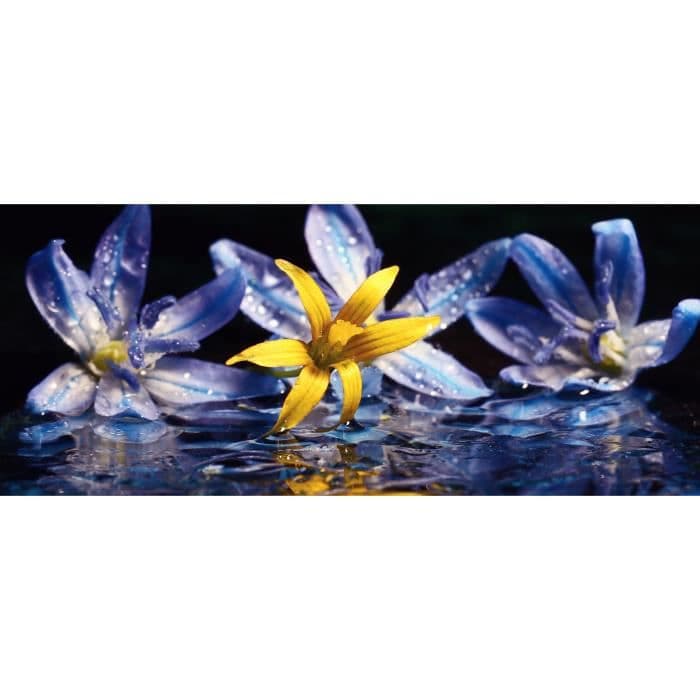 INNOVA Glass'art väggdekoration - 50 x 120 cm - Lillies med vatten