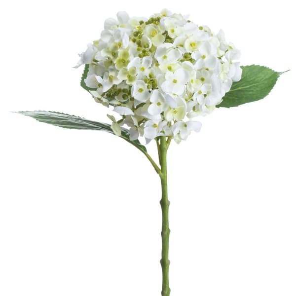 Hill Interiors Kunstige blondehattehortensia-stel