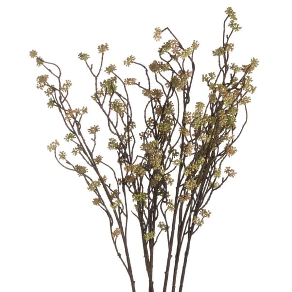 Hill Interiors Branch In Bloom Filler