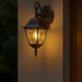Miniatyrbild 4 av 8: BRILLIANT lampa Janel hängande utomhus vägglampa svart guld | 1x A60, E27, 60W, lämplig för normala lampor (ingår ej)