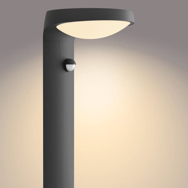 Tyla Pidestal Solar IR sensor