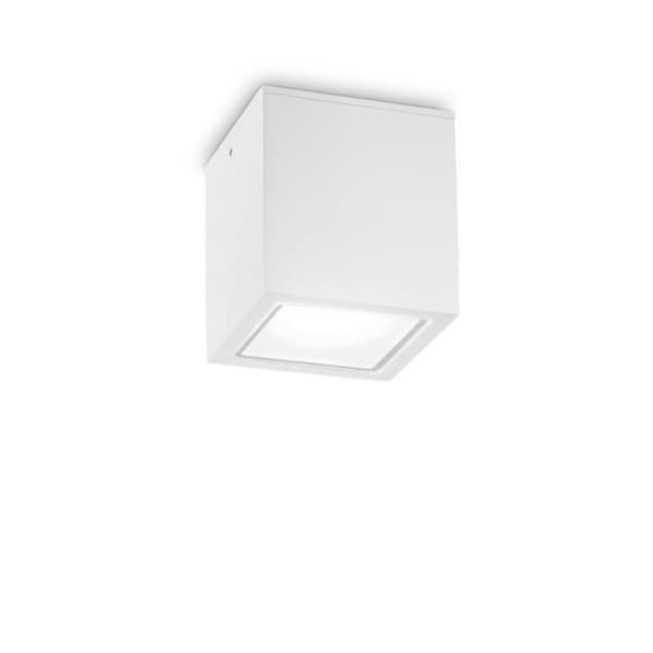 Stor utomhusdownlight vit IP54, GU10
