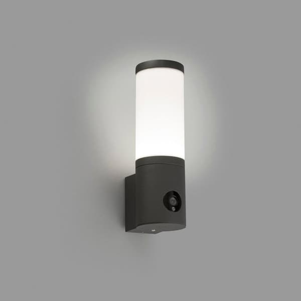FARO Barcelona 75701 - ORWELL LED LAMPA mörkgrå vägglampa med kamera