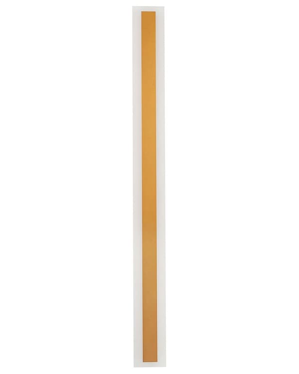 Udendørs LED-væglampe Guld 100 cm Stål Akryl Moderne Design