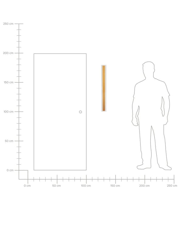 Ulkoseinävalaisin musta 80 cm teräs akryyli LED-valo moderni