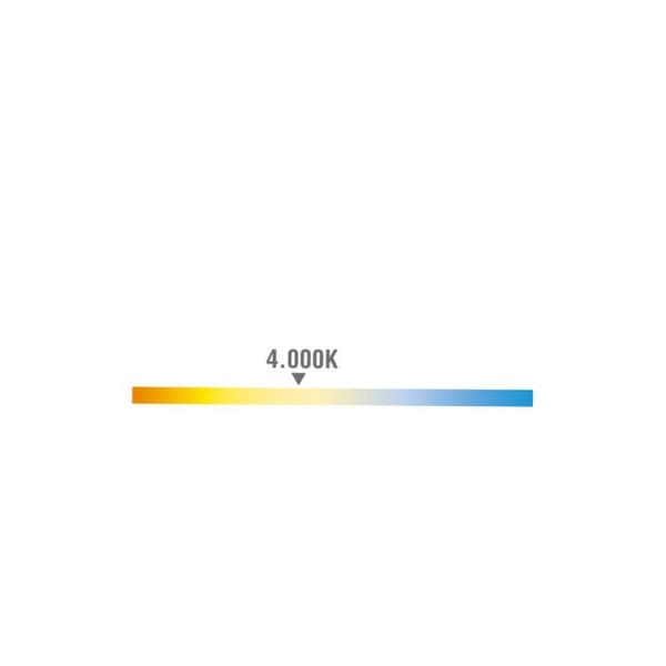 Rund Vägglampa med Sensor Led EDM 15W 4000K 1250 Lumen 250x49mm