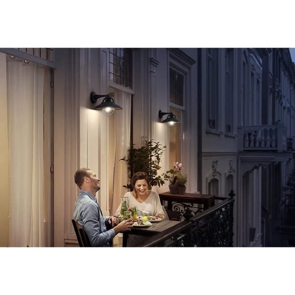 Philips myGarden LED-vägglampa Cormorant 1x42 W 1738130PN