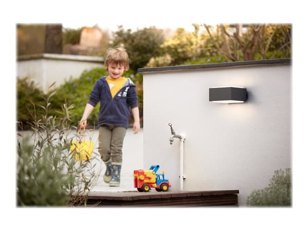 Philips myGarden Hedgehog - Vegglampe - 1 plugg - E27 - antrasitt Antrasitt, Hvit