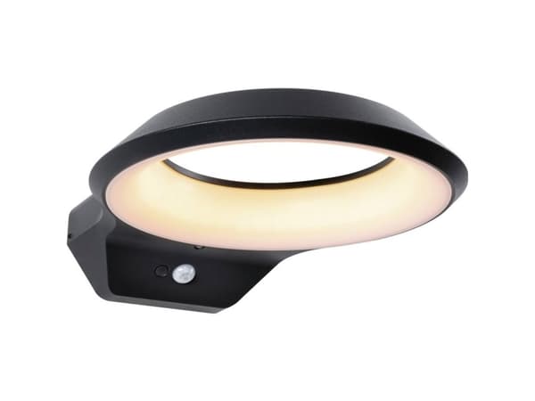 Paulmann Anela 94837 LED-vägglampa 12 W LED (RGB) Antracit