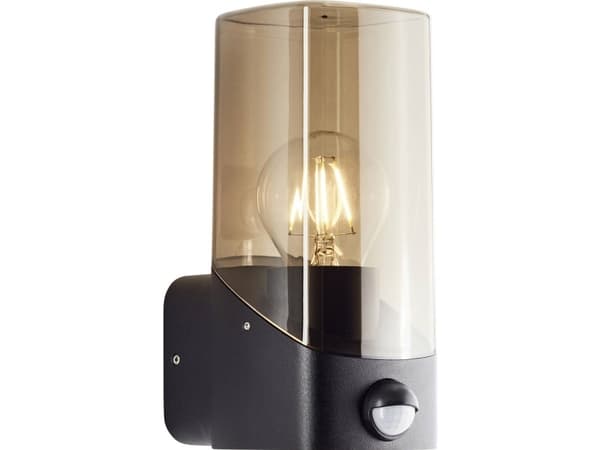 Brilliant Minou 44311/93 Utomhusvägglampa E27 Svart, rökfärgat glas