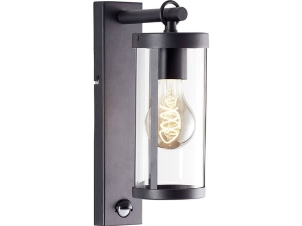 Brilliant Sidney 44291/06 Utomhusvägglampa E27 Svart, Transparent