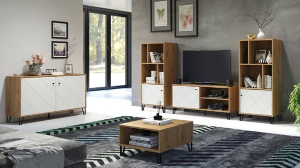 Touch TV møbel 1 låge, 2 åbne rum eg dekor, mat hvid.