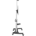 Miniatyrbillede 3 af 3: TV-holder Startech STNDMTV100 100"