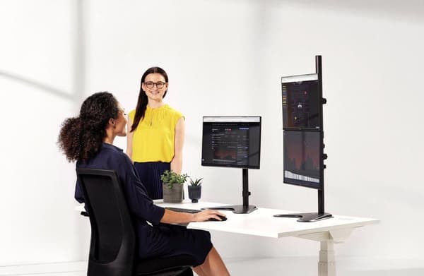 Fellowes Ergonomic -erillisvarsi kahdelle näytölle - Seasa pystysuora - entinen Professional Series™