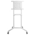 Miniatyrbild 3 av 10: Newstar Mobilt Golvstöd Ns-m1250white 70´´ Vit