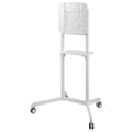 Miniatyrbild 7 av 10: Newstar Mobilt Golvstöd Ns-m1250white 70´´ Vit