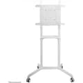 Miniatyrbillede 5 af 11: Neomounts by Newstar NS-M1250WHITE -gulvstativ til skærme op til 70"