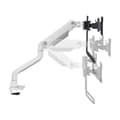 Miniatyrbillede 3 af 5: Skærm bord støtte Neomounts DS75S-950WH2