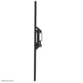 Miniatyrbillede 3 af 5: TV-holder Neomounts WL30-350BL14 32" 65" 40 kg