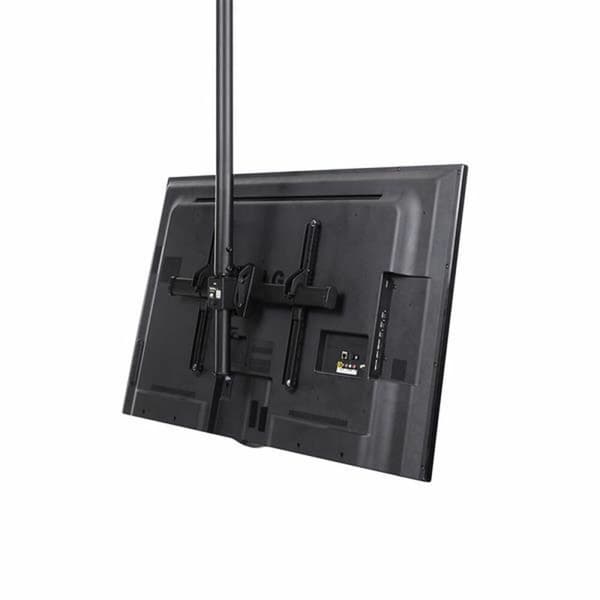 TV-fäste Startech FPCEILPTBLP 50 kg 32" 75"