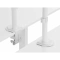 Miniatyrbillede 3 af 3: Skærm bord støtte Equip 650167 17" 32"
