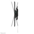 Miniatyrbillede 5 af 11: TV-holder Neomounts WL35-750BL18 43"