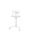 Miniatyrbillede 1 af 11: TV-holder Neomounts AV2-500WH