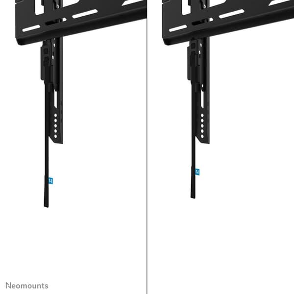 TV-holder Neomounts WL30-750BL14 32" 75" 100 kg